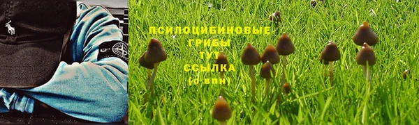 круглые Абаза