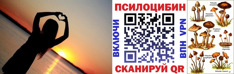 где можно купить наркотик  Духовщина  Галлюциногенные грибы мицелий 